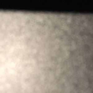 Meet your Posher, Jeannie